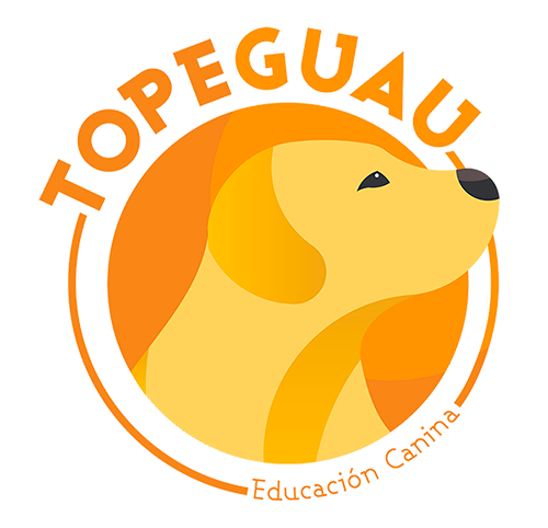 Alejandro Álvarez Adiestrador Canino logo