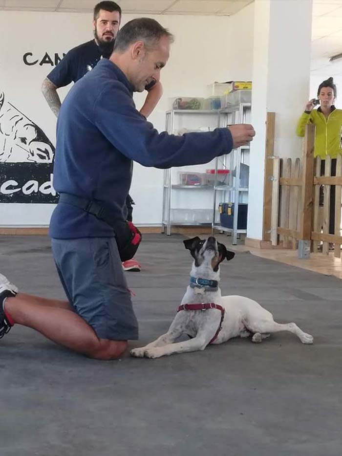 Alejandro Álvarez Adiestrador Canino hombre con perro adiestrado